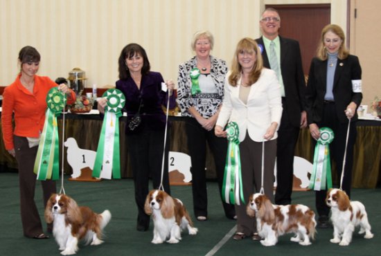 Orchard Hill Tough Enough