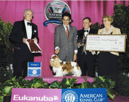 CKCSC-USA/AKC Ch. Pinecrest Orchardhill Rock The Boat