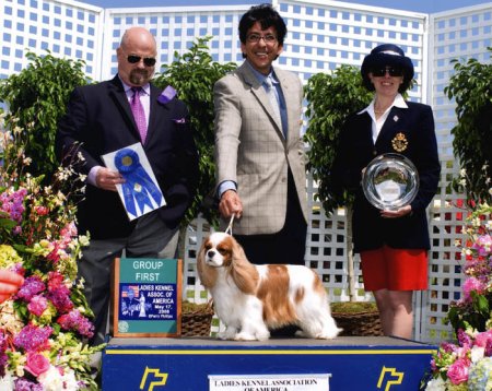 CKCSC-USA/AKC Ch. Pinecrest Orchardhill Rock The Boat