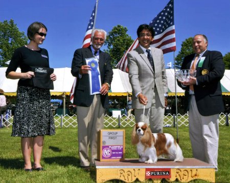 CKCSC-USA/AKC Ch. Pinecrest Orchardhill Rock The Boat