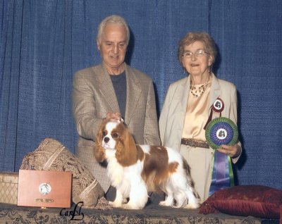 CKCSC-USA/AKC Ch. Pinecrest Orchardhill Rock The Boat