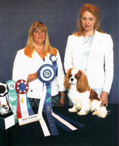 CKCSC-USA/AKC Ch. Pinecrest Orchardhill Rock The Boat