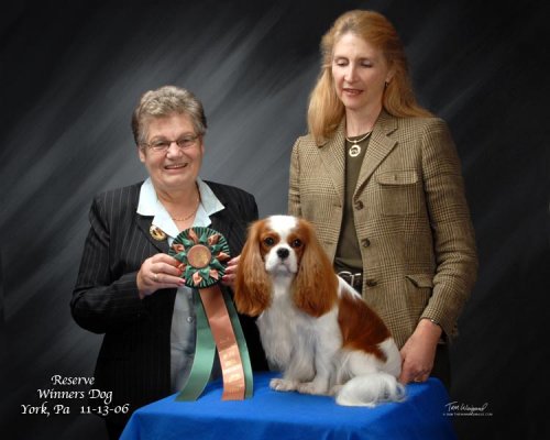 CKCSC-USA/AKC Ch. Pinecrest Orchardhill Rock The Boat