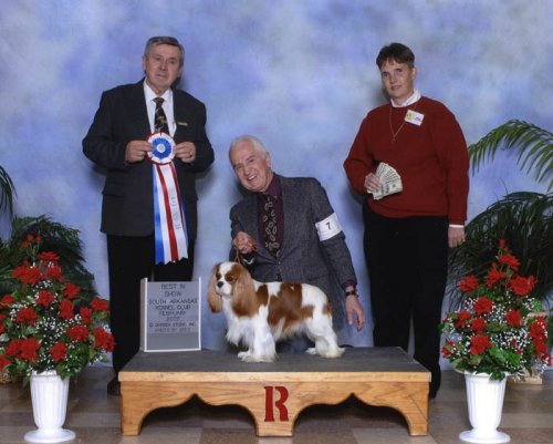 CKCSC-USA/AKC Ch. Pinecrest Orchardhill Rock The Boat
