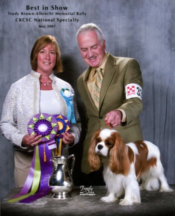 CKCSC-USA/AKC Ch. Pinecrest Orchardhill Rock The Boat