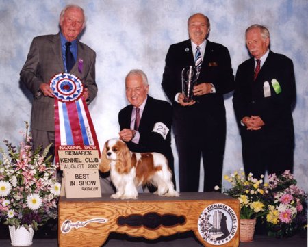 CKCSC-USA/AKC Ch. Pinecrest Orchardhill Rock The Boat