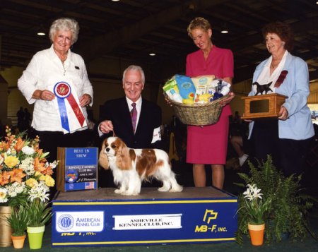 CKCSC-USA/AKC Ch. Pinecrest Orchardhill Rock The Boat