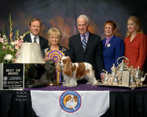 CKCSC-USA/AKC Ch. Pinecrest Orchardhill Rock The Boat