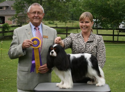 Orchardhill Charismatic