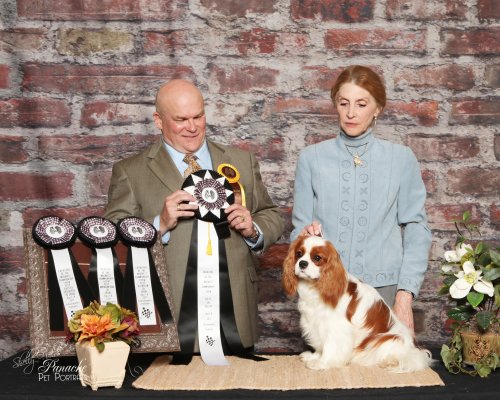 Orchard Hill Tough Enough