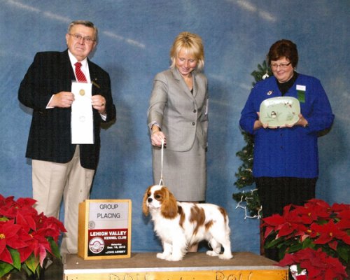 Orchard Hill Tough Enough