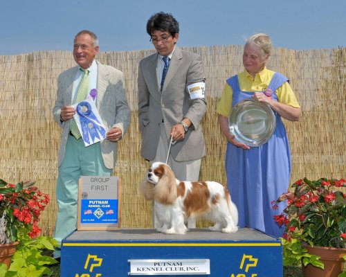 CKCSC-USA/AKC Ch. Pinecrest Orchardhill Rock The Boat
