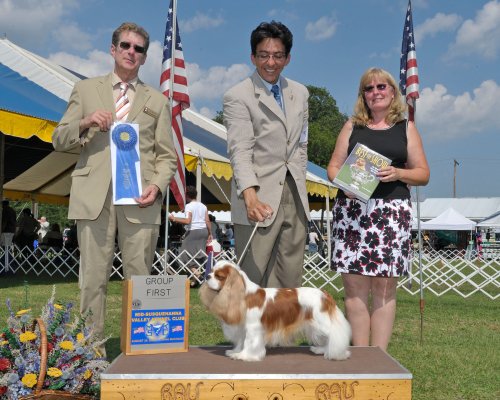 CKCSC-USA/AKC Ch. Pinecrest Orchardhill Rock The Boat