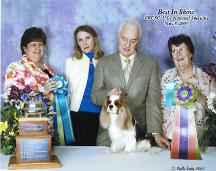 CKCSC-USA/AKC Ch. Pinecrest Orchardhill Rock The Boat