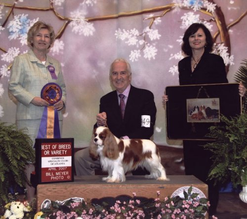 CKCSC-USA/AKC Ch. Pinecrest Orchardhill Rock The Boat