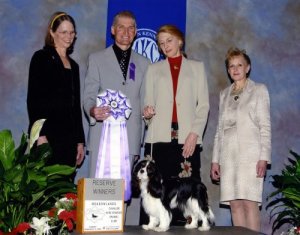 CKCSC-USA/AKC Ch.Orchard Hill Nice Boots, Baby